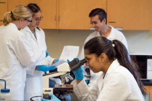 Scientists conducting tests and reviewing paper notes stock images - Unsplash